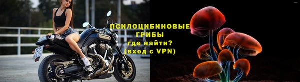 ALPHA PVP Алексин