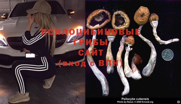 COCAINE Алзамай