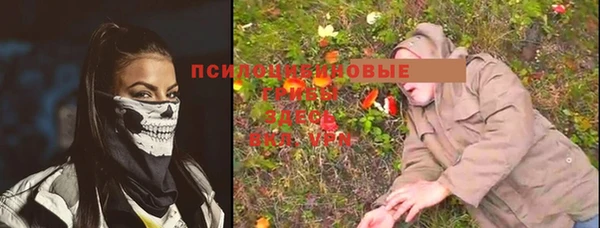 apvp Алексеевка